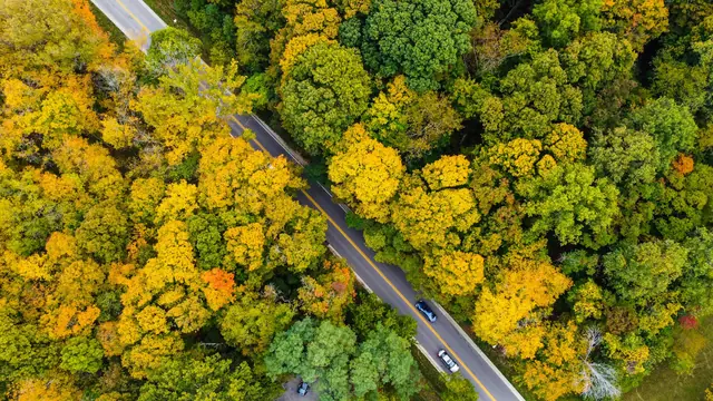 Indiana landscape