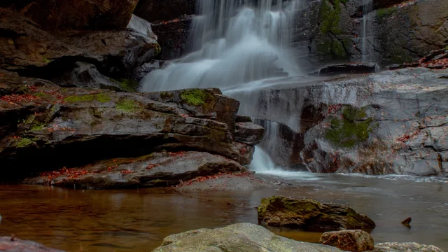 North Carolina landscape